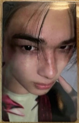 Front view of enhypen Niki Desire Weverse Showcase Pob Photocard photocard