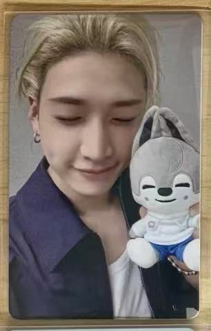 STRAY KIDS ZOOTOPIA PURCHASE BENEFIT POB PHOTOCARD