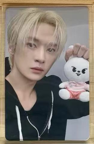 STRAY KIDS ZOOTOPIA PURCHASE BENEFIT POB PHOTOCARD