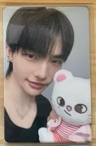 STRAY KIDS ZOOTOPIA PURCHASE BENEFIT POB PHOTOCARD