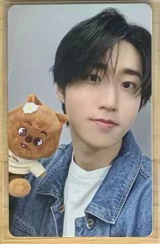 STRAY KIDS ZOOTOPIA PURCHASE BENEFIT POB PHOTOCARD