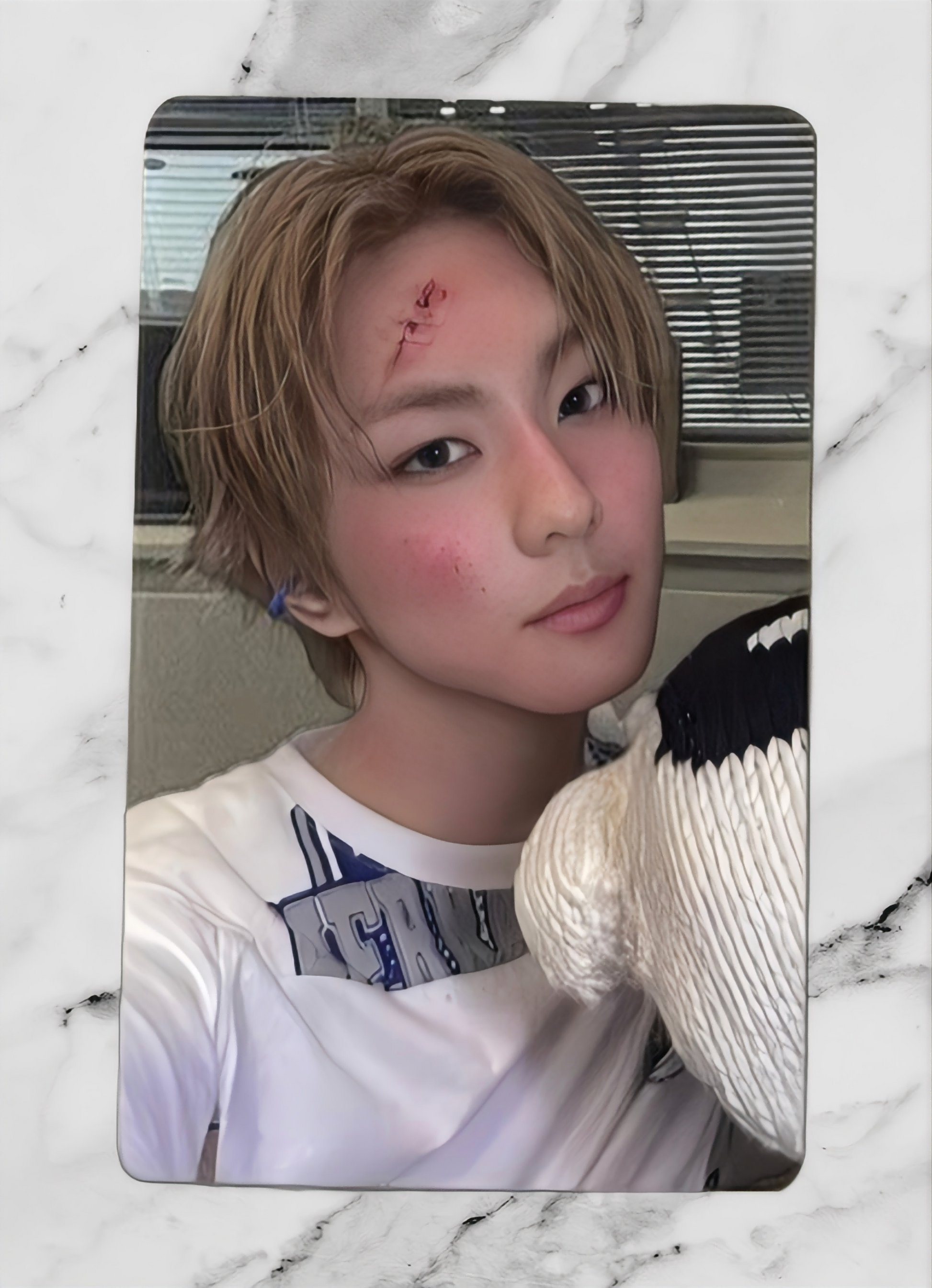 Boxing view of enhypen Jungwon Untold Romance Day Dream Yzy Yizhiyu 2.0 Lucky Draw Boxing Ver.Pob Photocard photocard