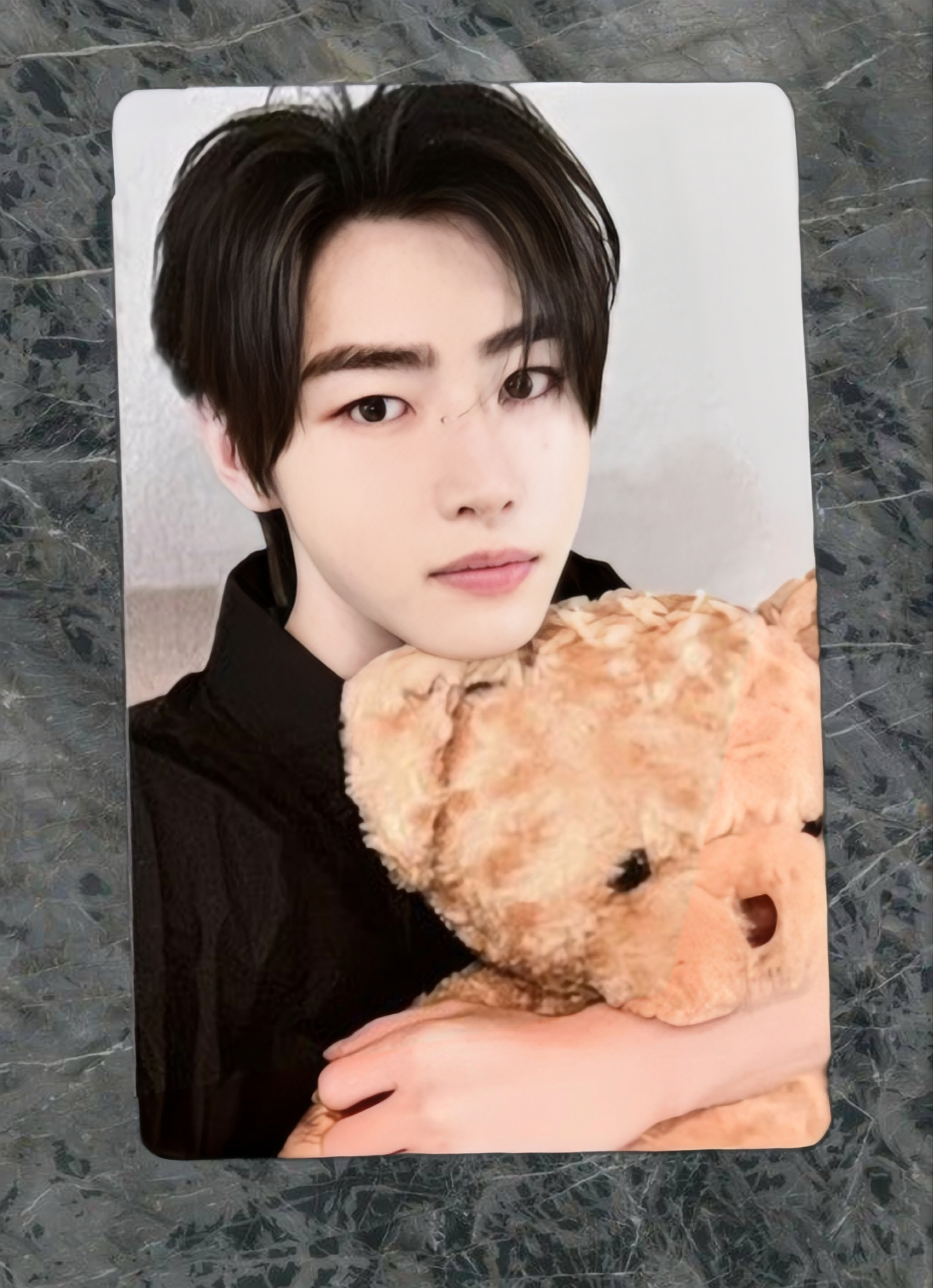Bear view of enhypen Sunghoon Untold Romance Yzy Yizhiyu 4.0 Lucky Draw Bear Ver.Pob Photocard photocard